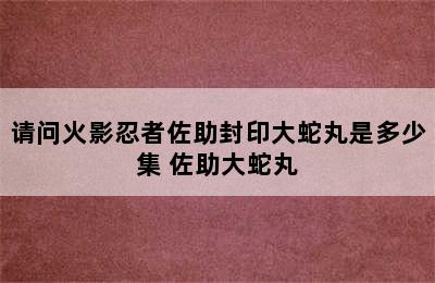 请问火影忍者佐助封印大蛇丸是多少集 佐助大蛇丸